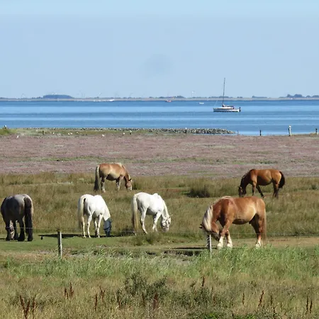 Haus Ostend 190 - Bude Ostend *